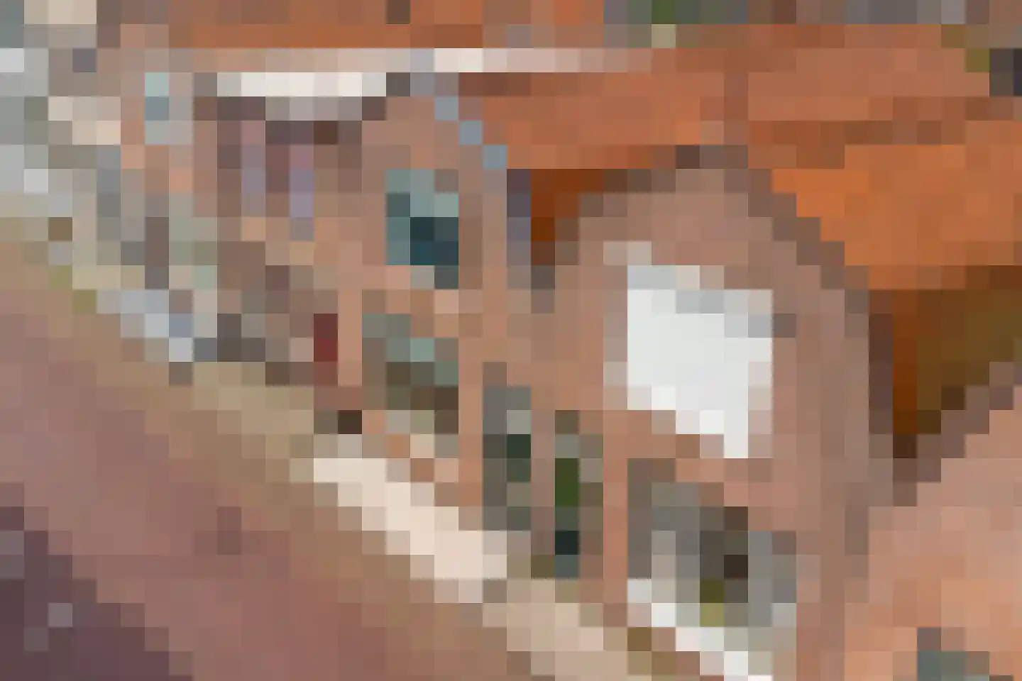Verrenieuwstraat 23 Zierikzee thumbnail 46