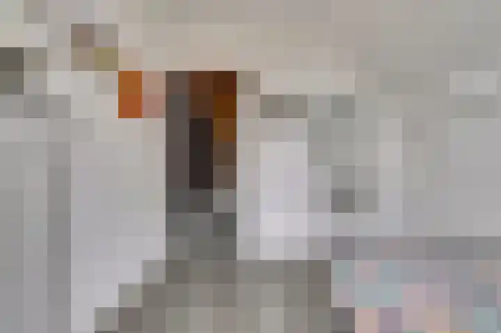Verrenieuwstraat 36 Zierikzee thumbnail 31