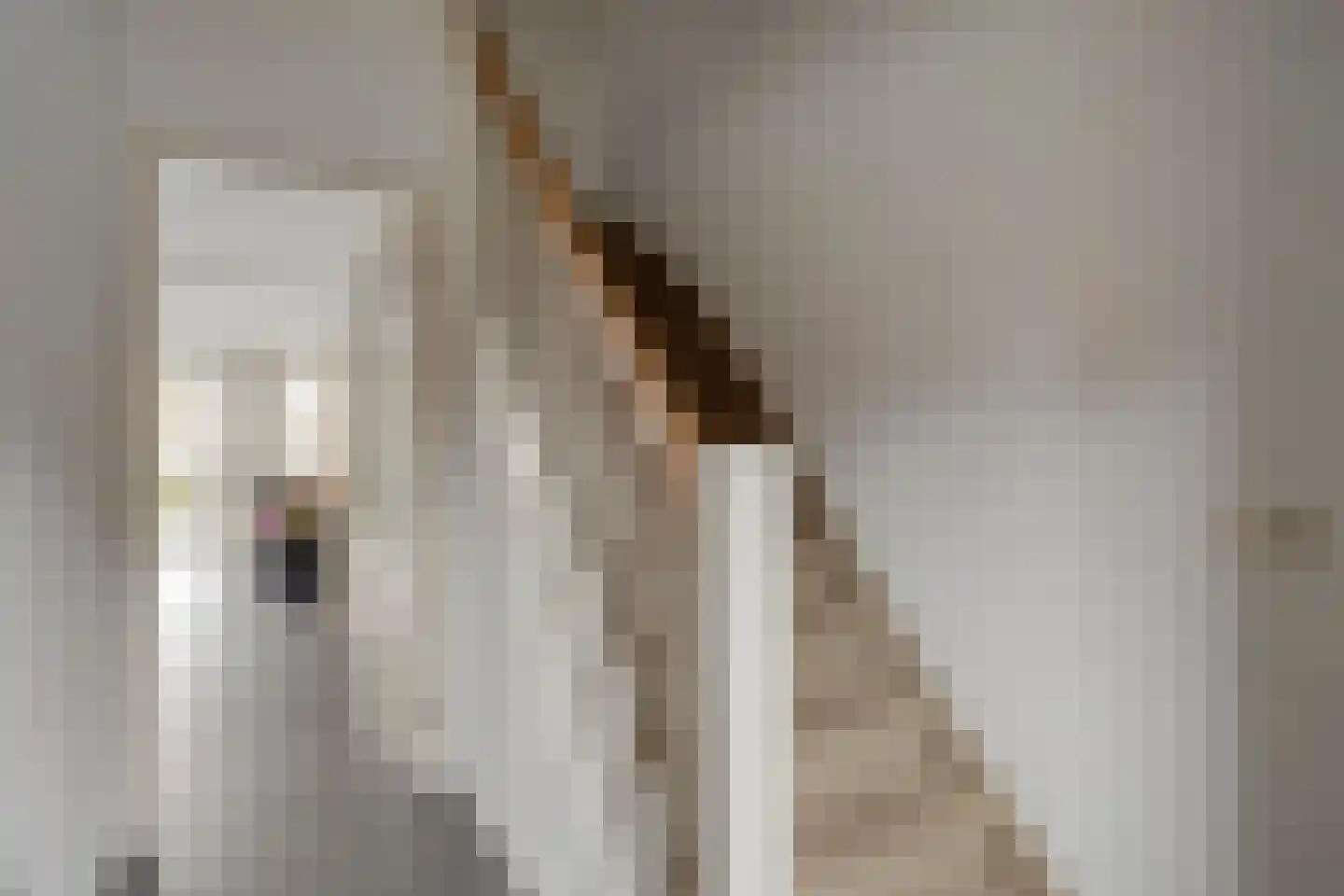 Verreussellaan 20 Ospel thumbnail 11