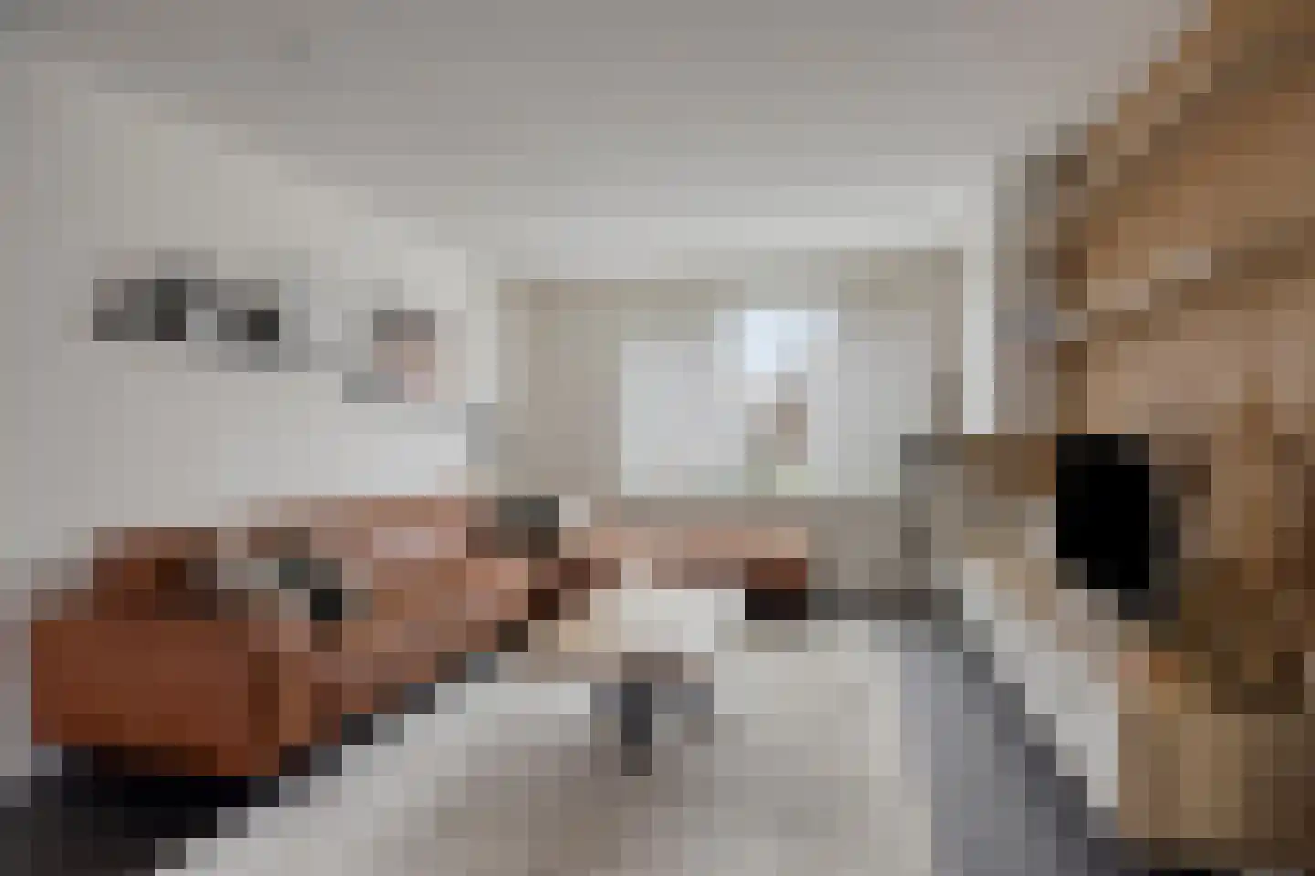 Verreussellaan 20 Ospel thumbnail 12
