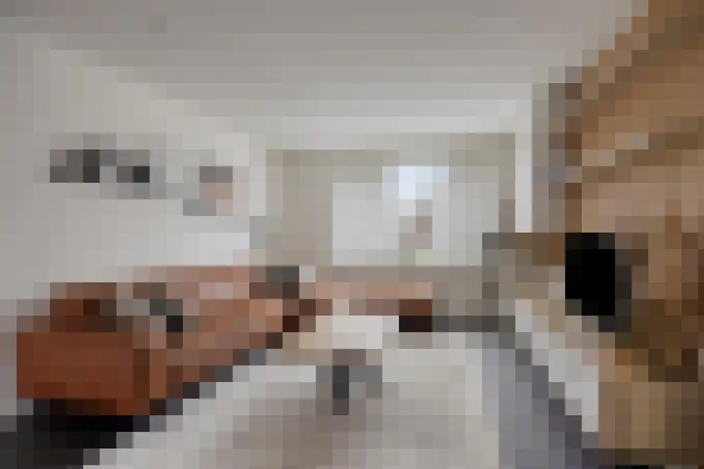 Verreussellaan 20 Ospel thumbnail 13