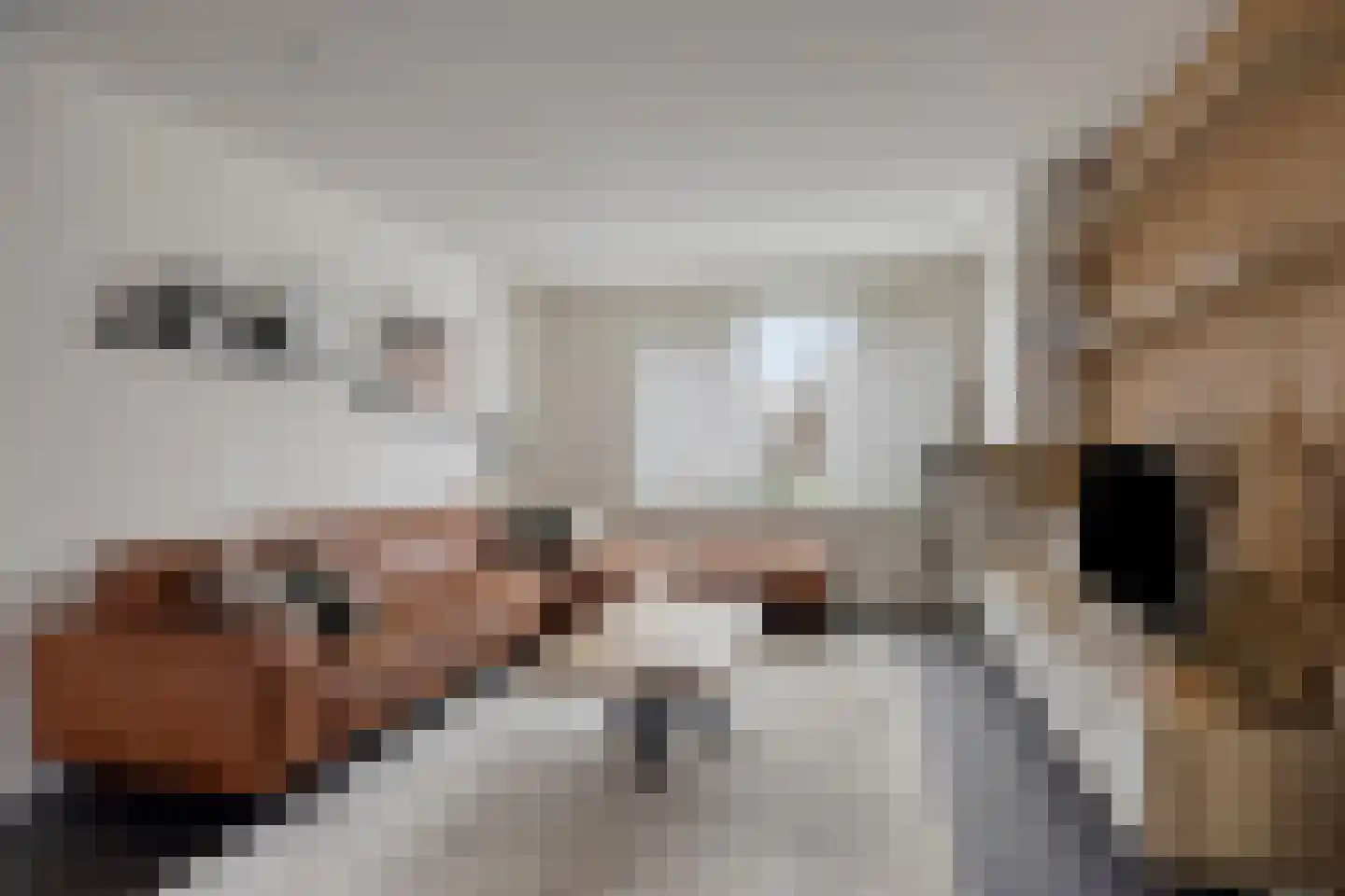 Verreussellaan 20 Ospel thumbnail 13