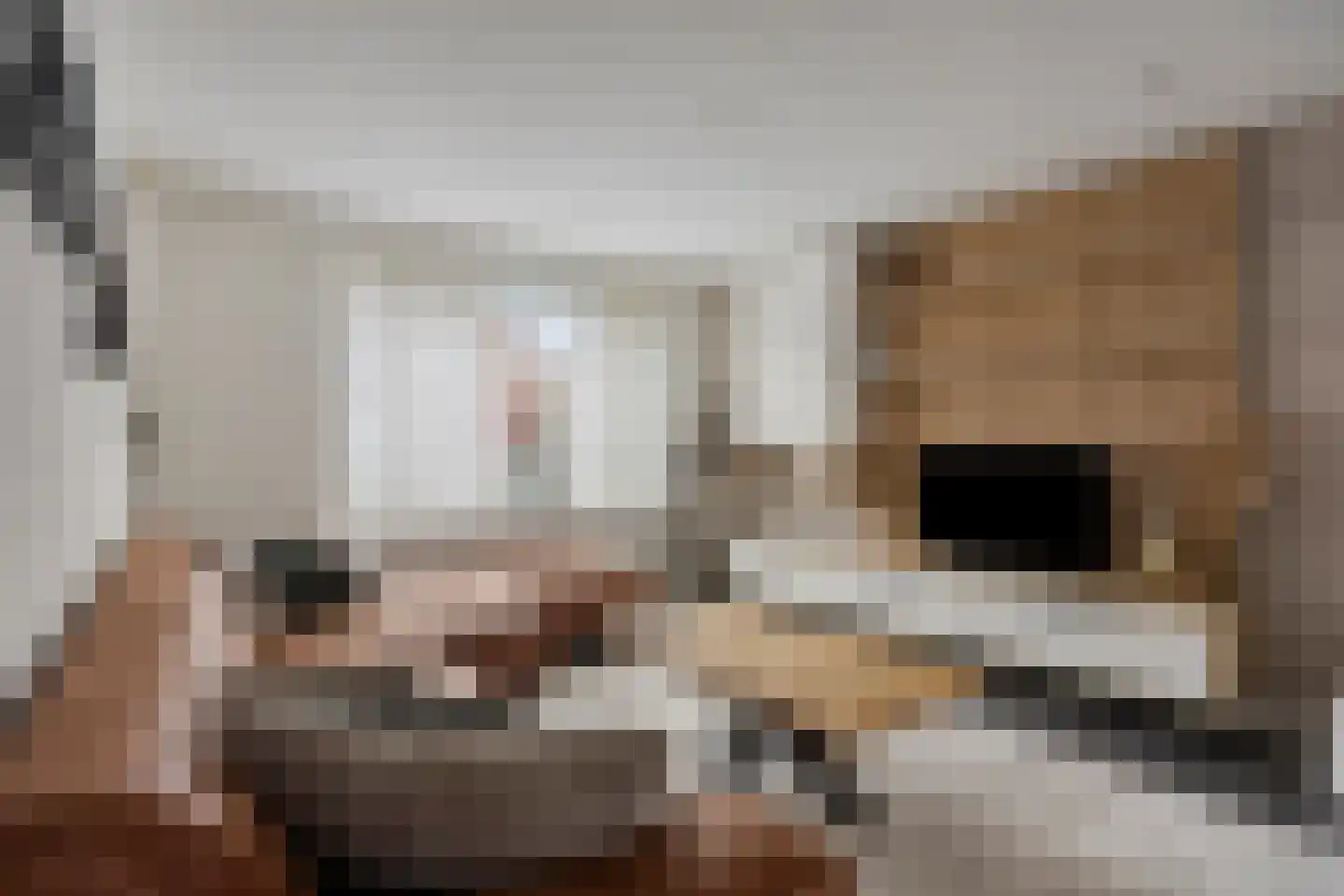 Verreussellaan 20 Ospel thumbnail 14