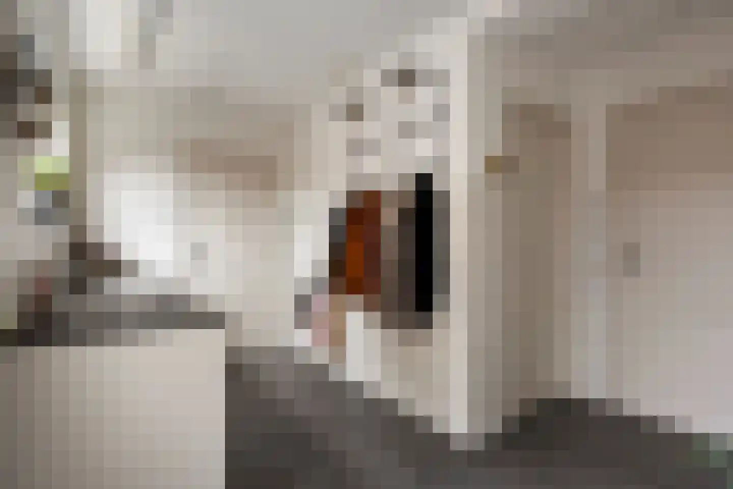 Verreussellaan 20 Ospel thumbnail 26