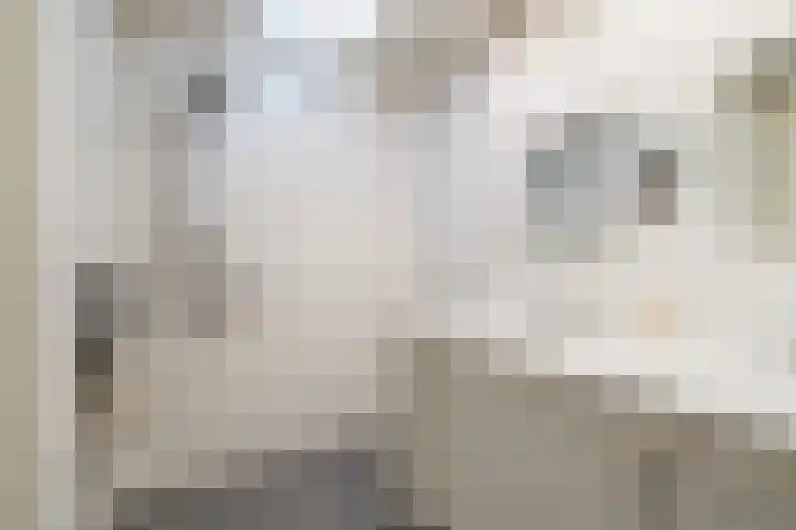 Verreussellaan 31 Ospel thumbnail 12