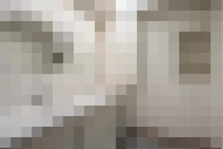 Verreussellaan 31 Ospel thumbnail 13