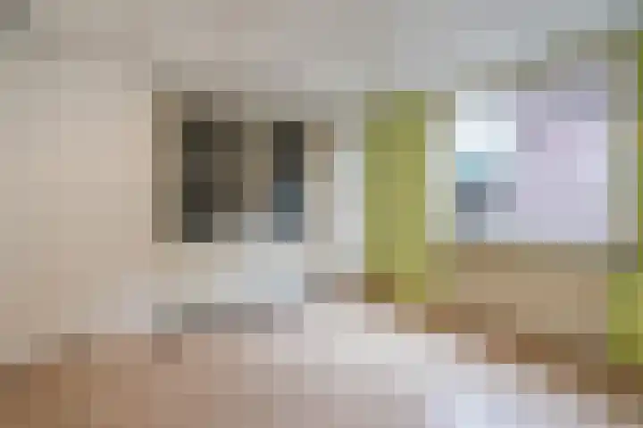 Verreussellaan 31 Ospel thumbnail 14