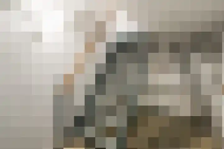 Verreussellaan 31 Ospel thumbnail 16