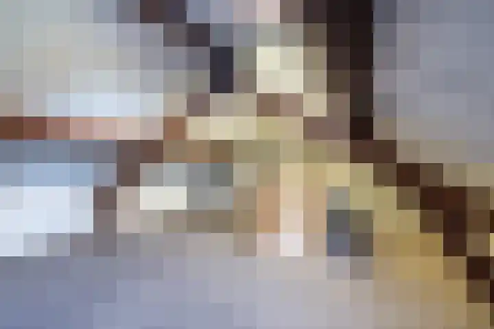 Verreussellaan 31 Ospel thumbnail 30