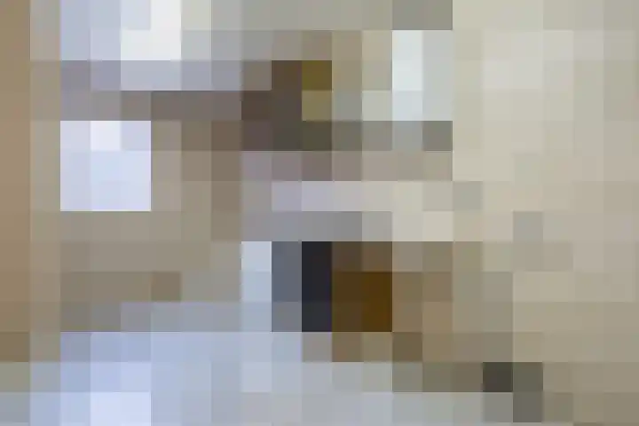 Verreussellaan 31 Ospel thumbnail 38