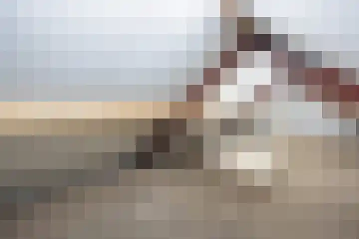 Verreussellaan 31 Ospel thumbnail 42