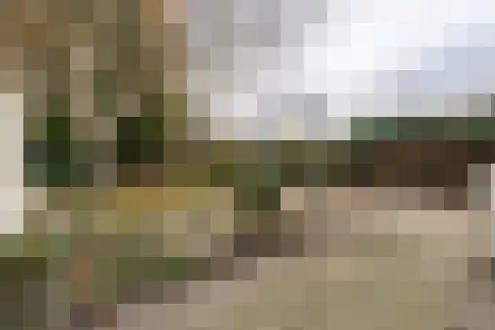 Verreussellaan 31 Ospel thumbnail 45