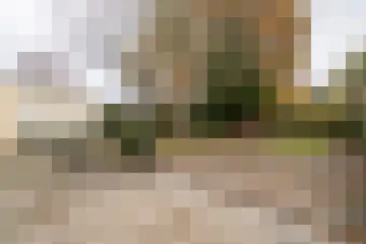 Verreussellaan 31 Ospel thumbnail 46