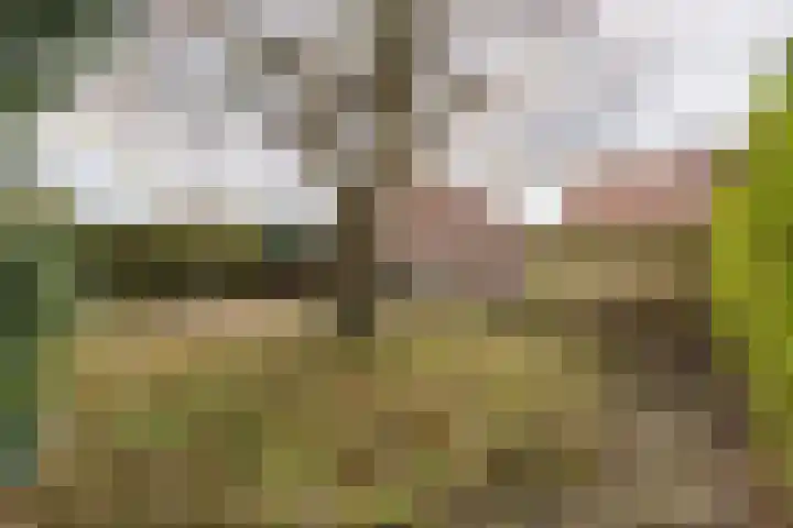 Verreussellaan 31 Ospel thumbnail 47