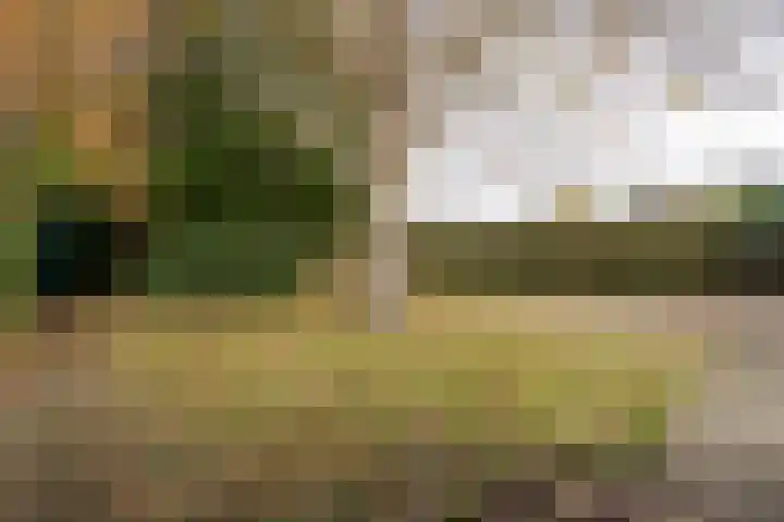 Verreussellaan 31 Ospel thumbnail 48