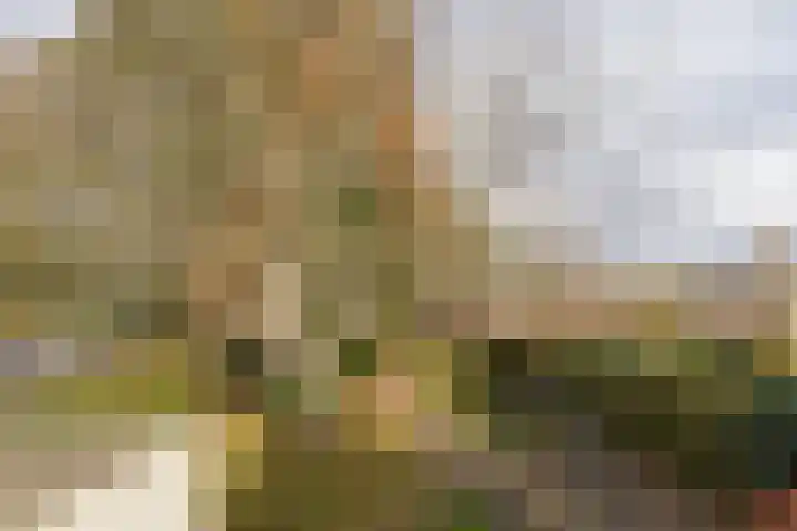 Verreussellaan 31 Ospel thumbnail 50