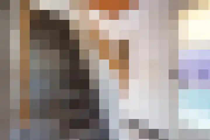 Verreussellaan 31 Ospel thumbnail 9