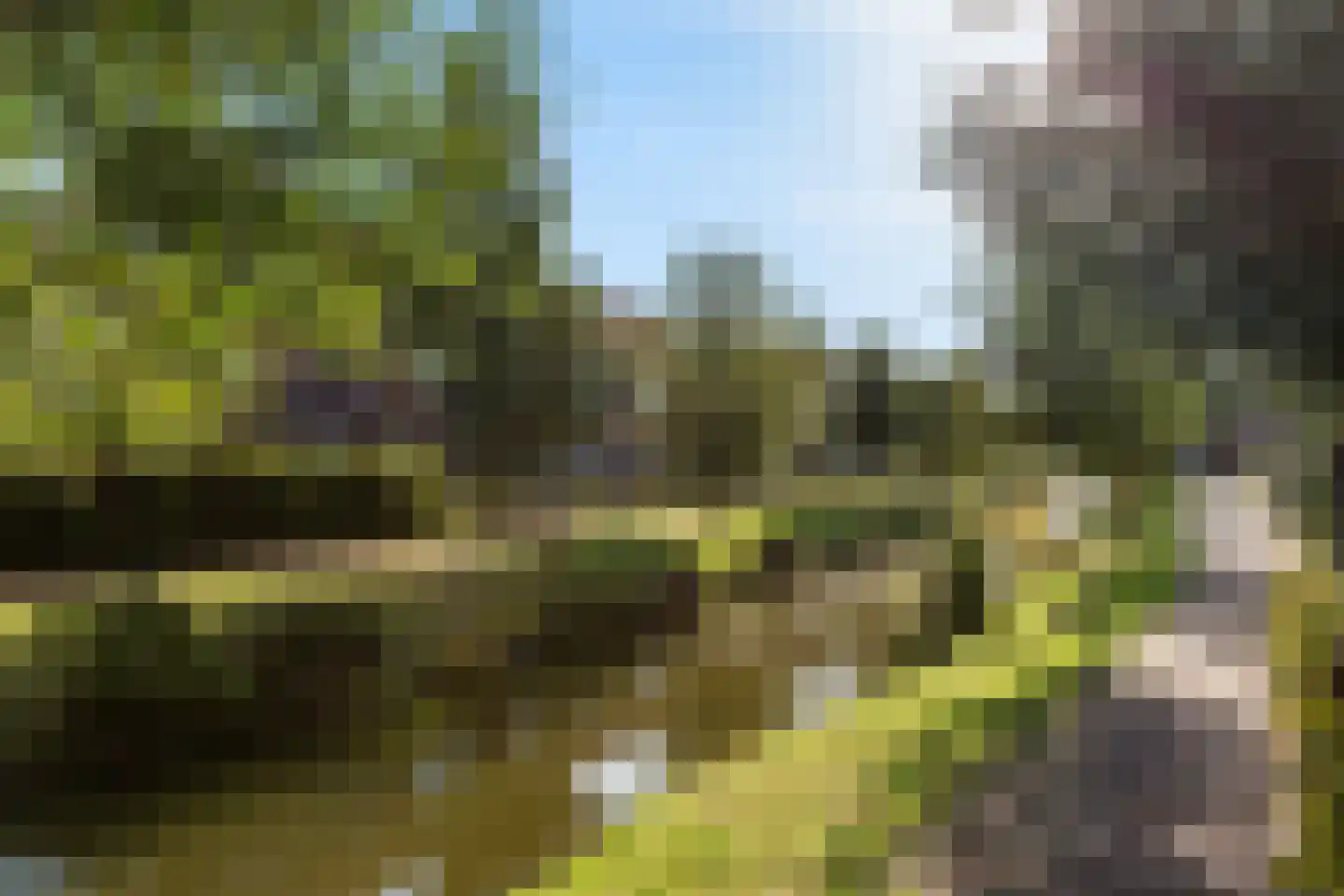 Verreweg 166 Maassluis thumbnail 63