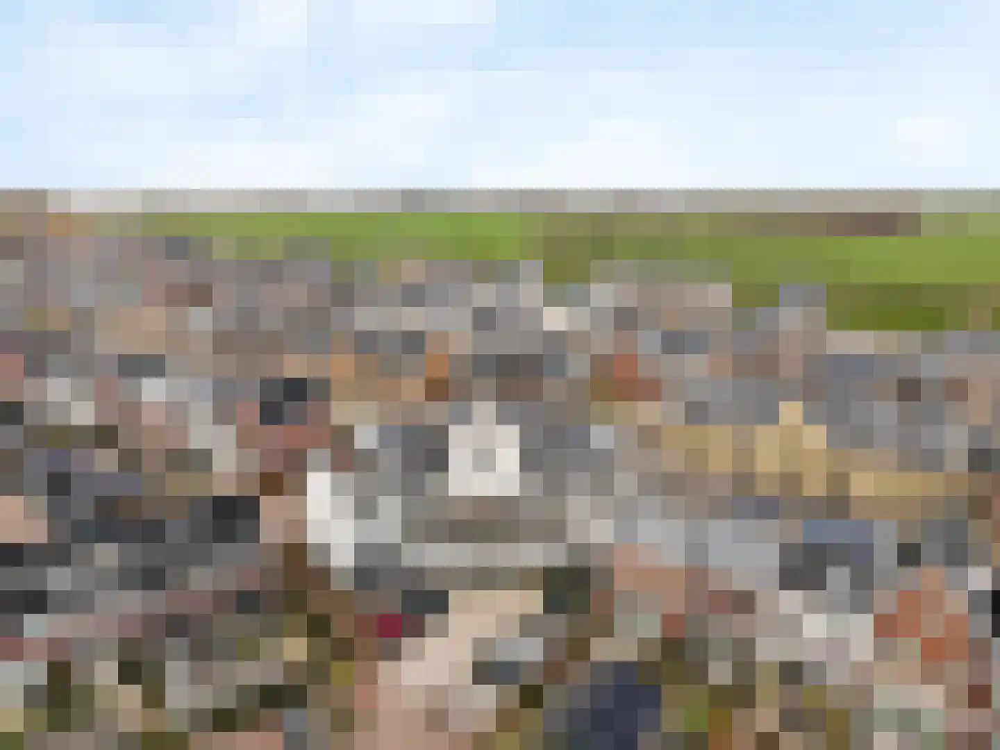 Verreweg 79 Maassluis thumbnail 48