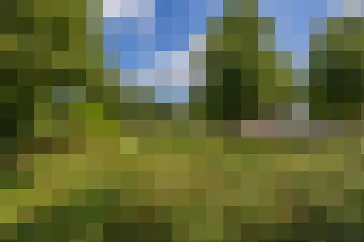 Verrijnenstraat 26 Venlo thumbnail 25