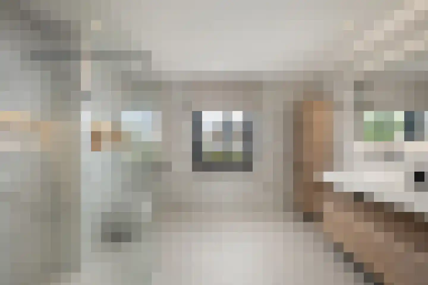 Versailles 30 Zevenhuizen thumbnail 31