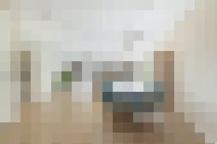 Versailles 37 Zevenhuizen thumbnail 13