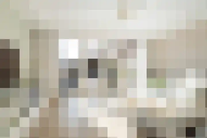Versailles 37 Zevenhuizen thumbnail 14