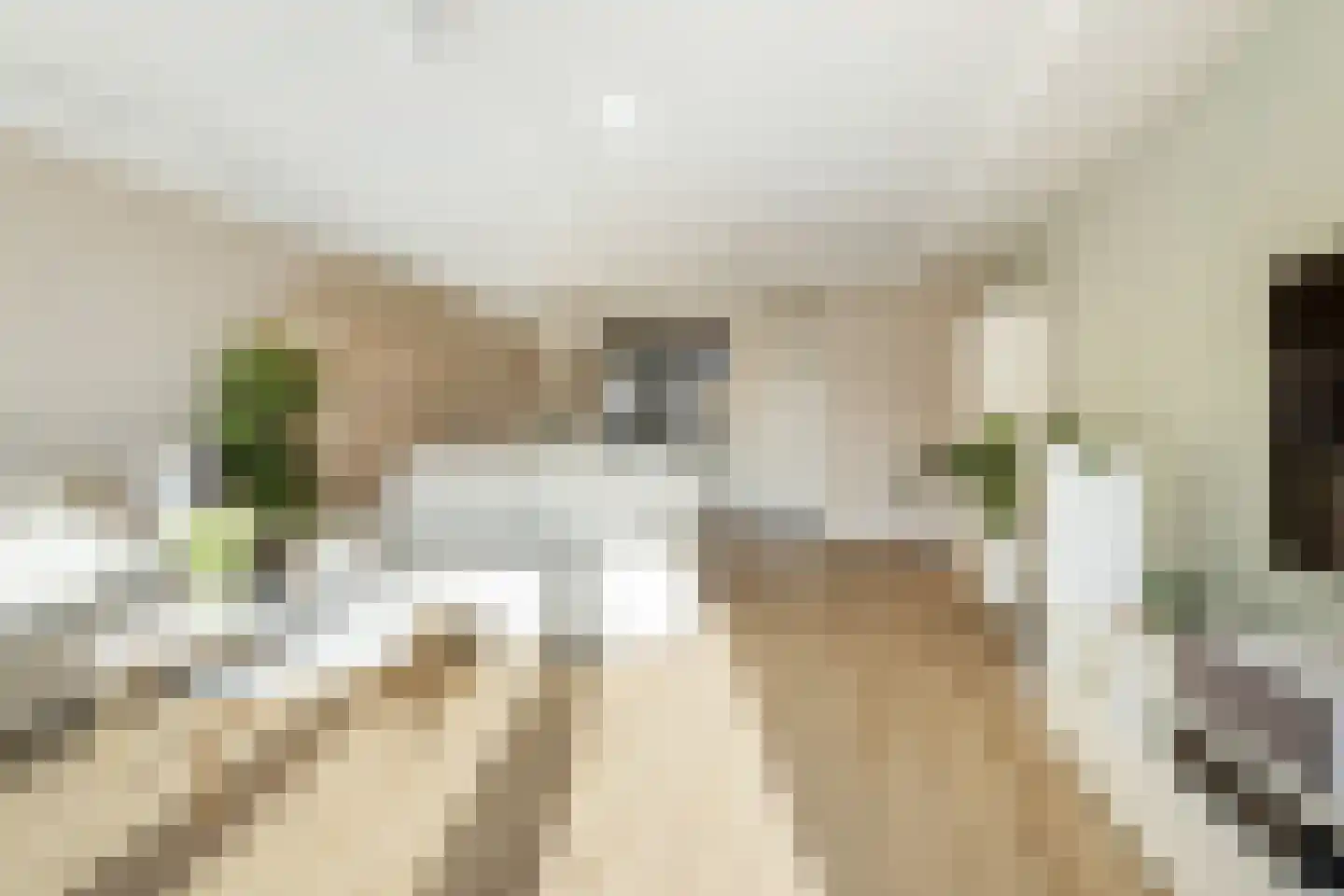 Versailles 37 Zevenhuizen thumbnail 14