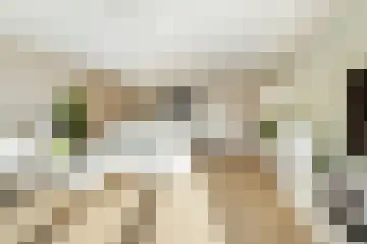 Versailles 37 Zevenhuizen thumbnail 15
