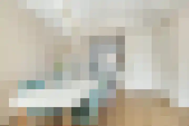 Versailles 37 Zevenhuizen thumbnail 17