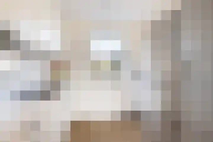 Versailles 37 Zevenhuizen thumbnail 19