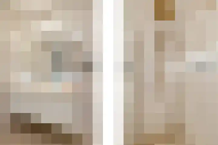 Versailles 37 Zevenhuizen thumbnail 30