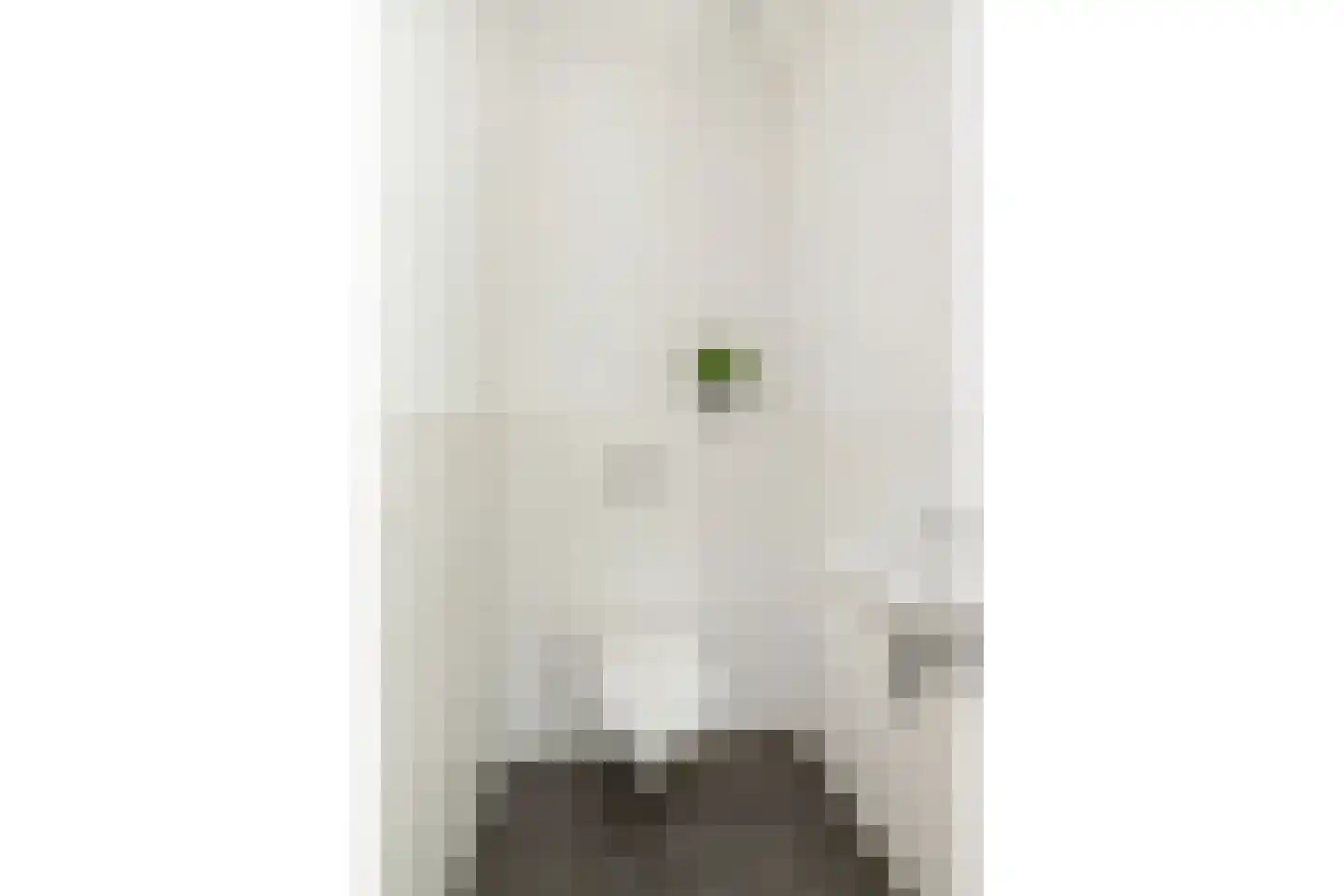 Versailles 37 Zevenhuizen thumbnail 32
