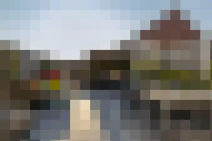 Versailles 37 Zevenhuizen thumbnail 39