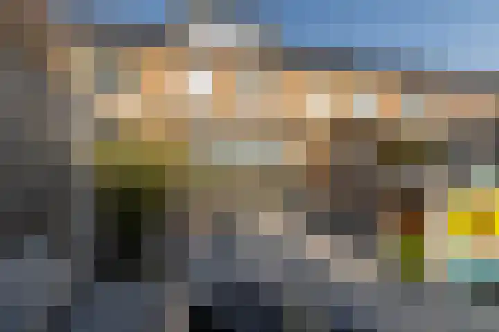 Versailles 37 Zevenhuizen thumbnail 4