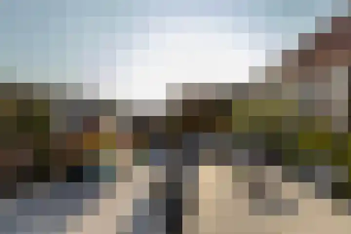 Versailles 37 Zevenhuizen thumbnail 40