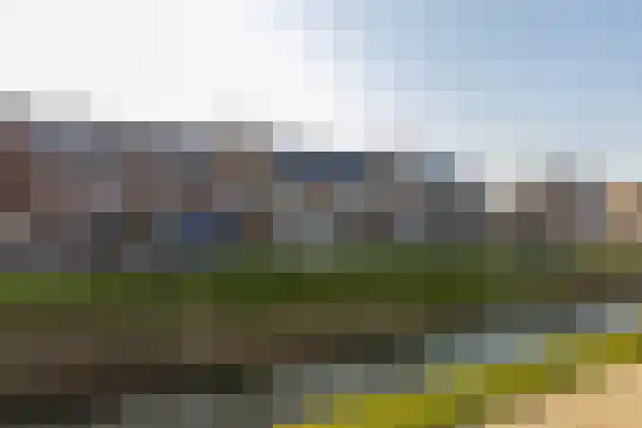 Versailles 37 Zevenhuizen thumbnail 6