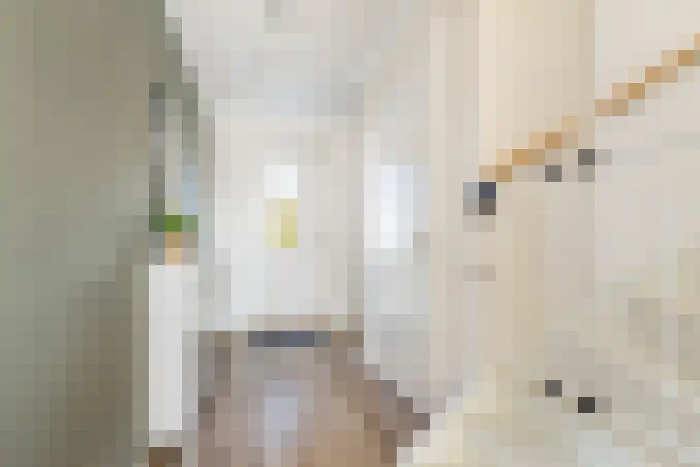 Versailles 37 Zevenhuizen thumbnail 9