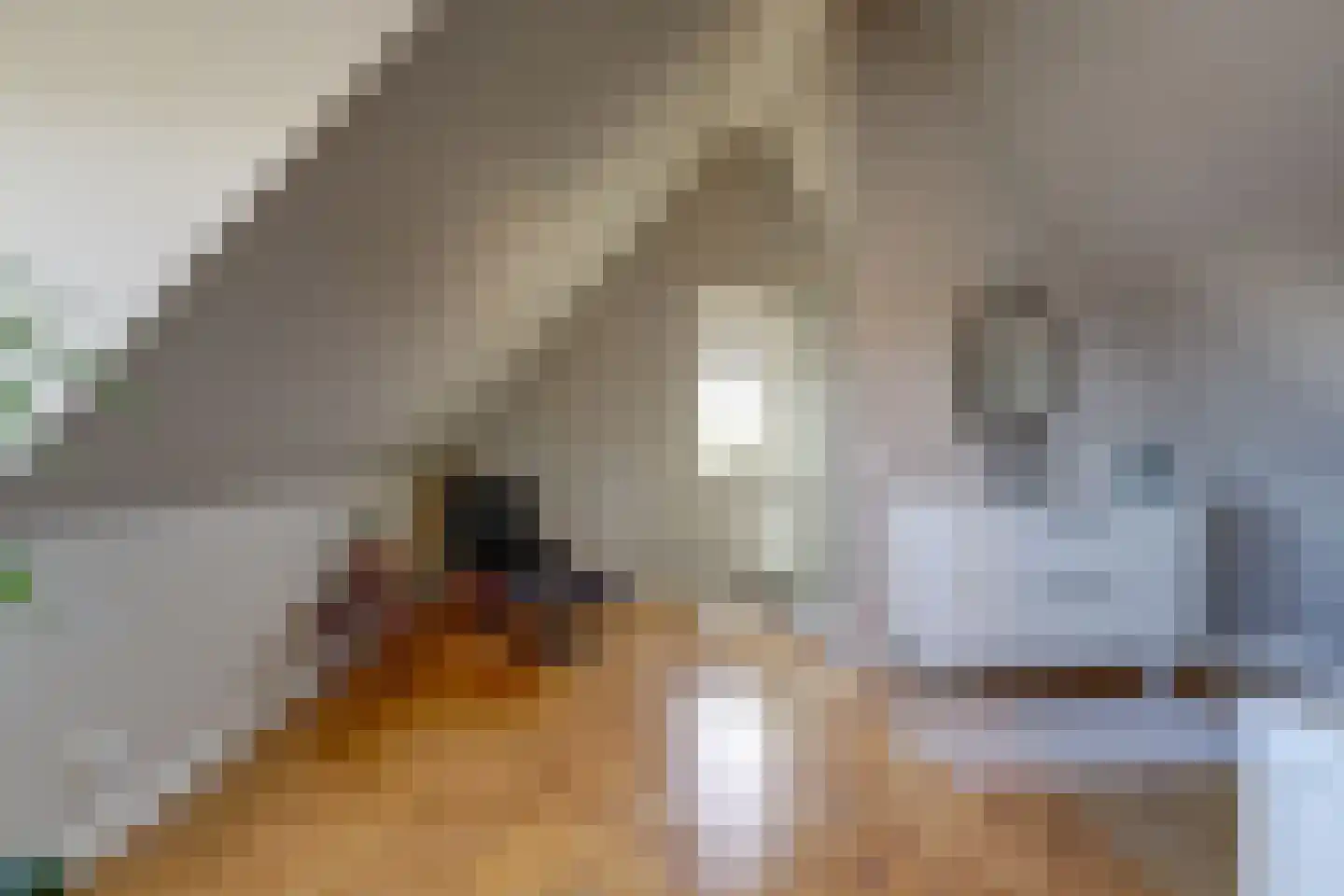 Versailles 42 Zevenhuizen thumbnail 37