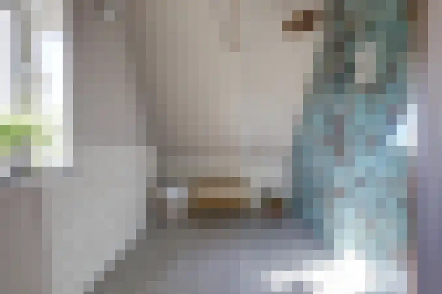 Versailles 42 Zevenhuizen thumbnail 43