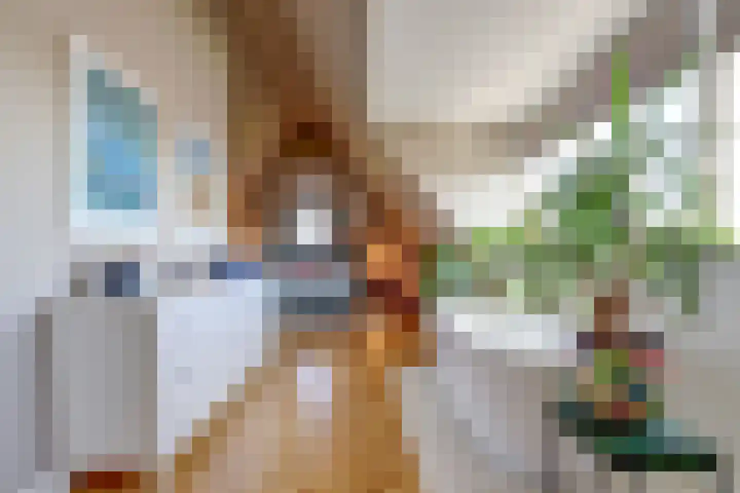 Versailles 42 Zevenhuizen thumbnail 49