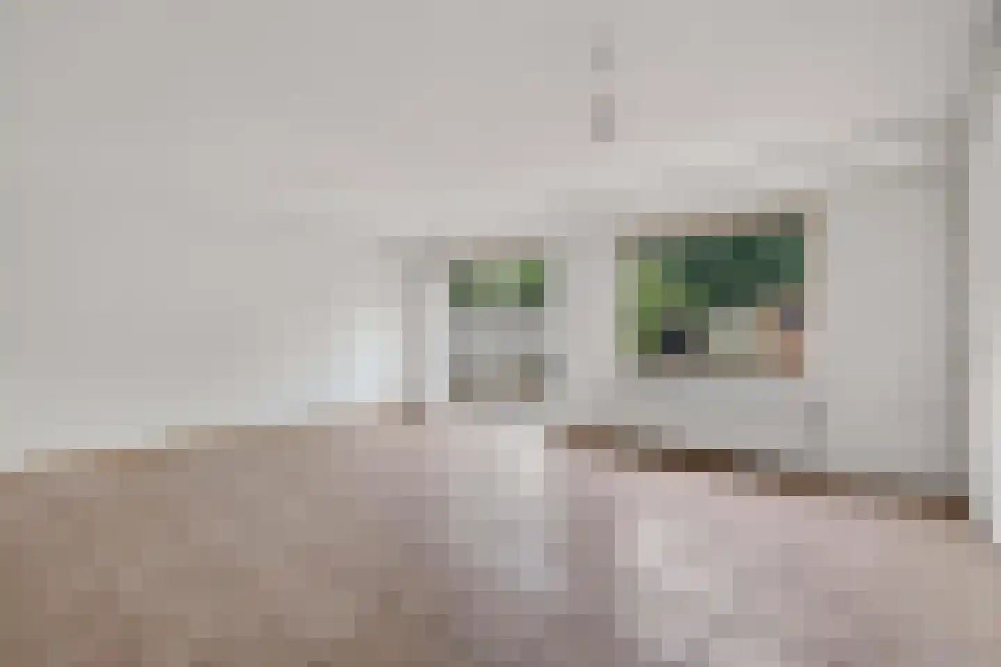 Versailleslaan 11 Eindhoven thumbnail 17