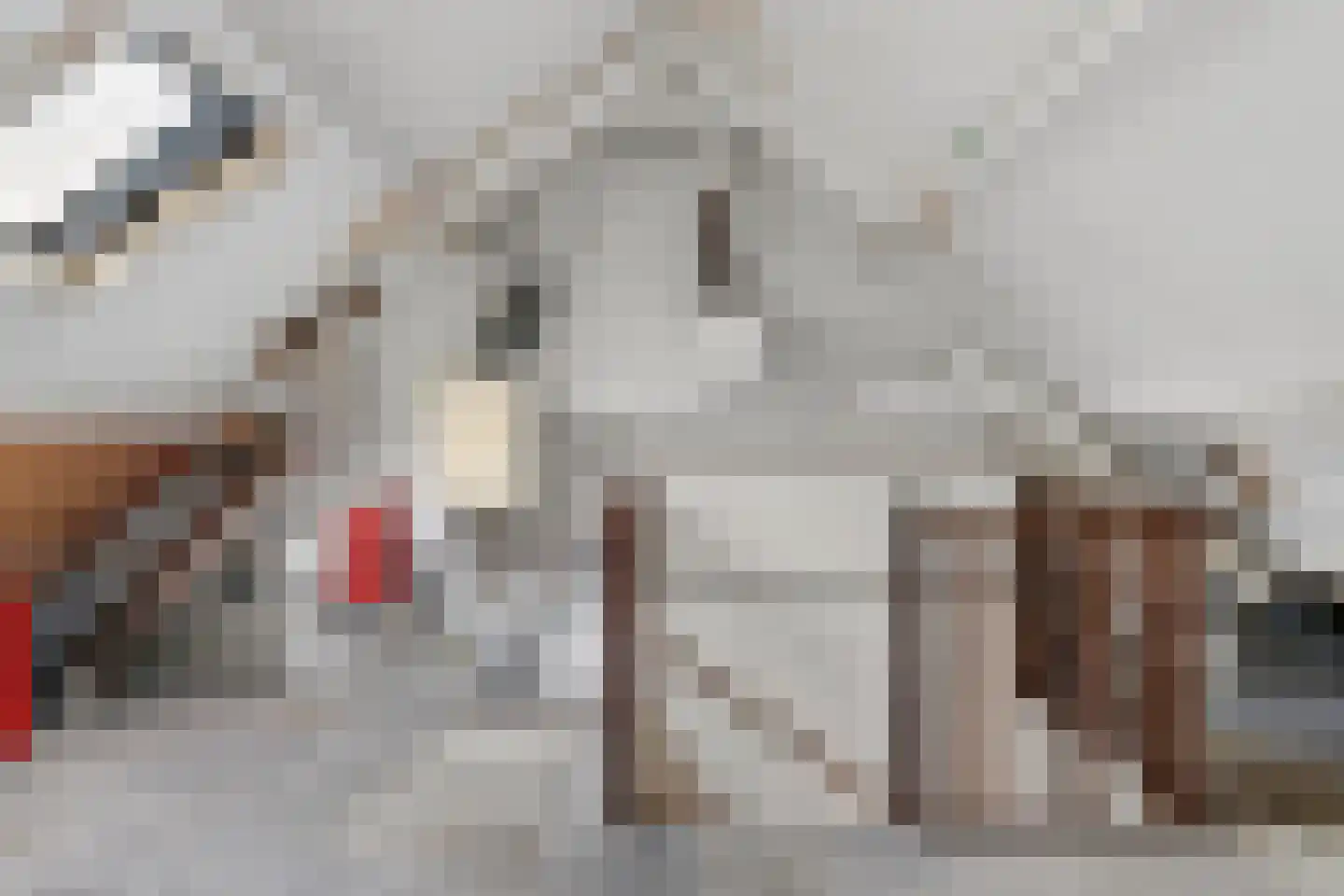 Versailleslaan 11 Eindhoven thumbnail 30