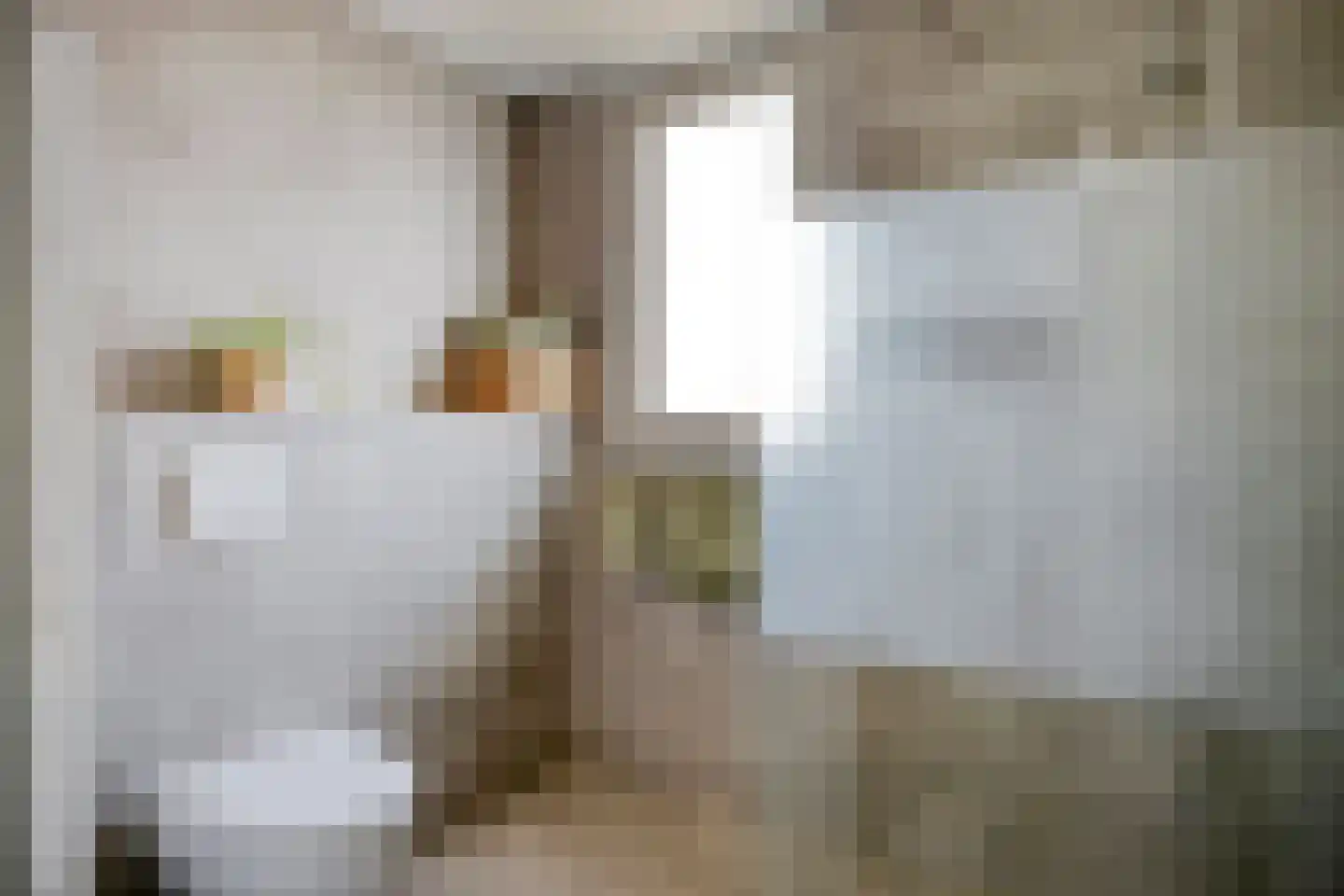 Versailleslaan 35 Eindhoven thumbnail 29