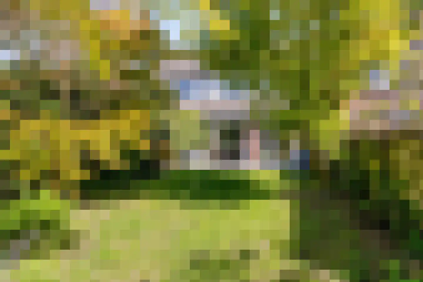 Versailleslaan 35 Eindhoven thumbnail 39