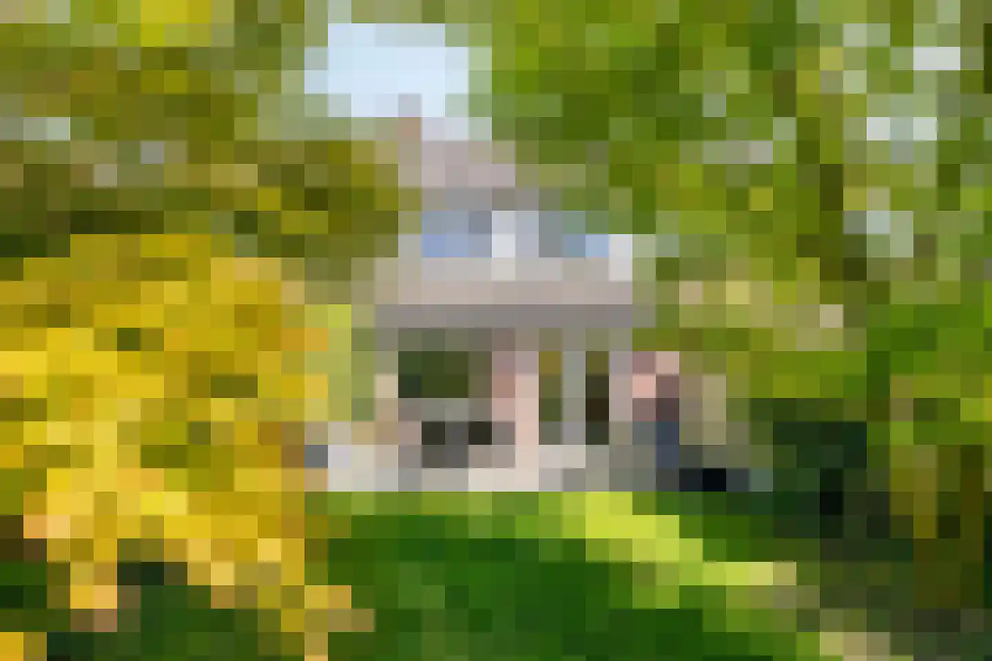 Versailleslaan 35 Eindhoven thumbnail 41