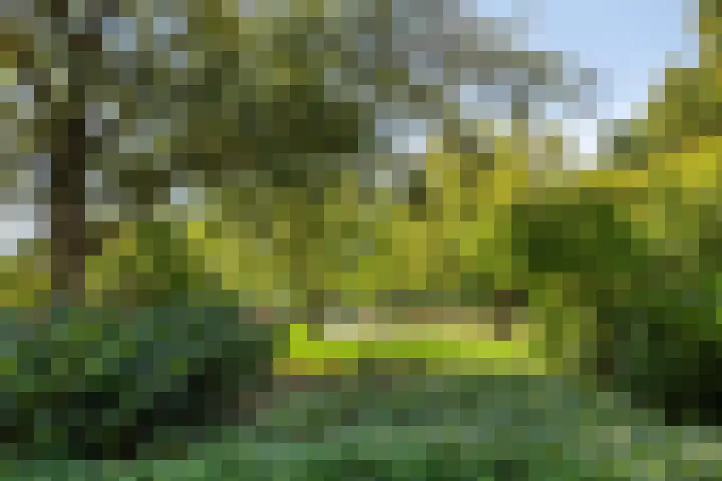 Versantvoortstraat 30 Eindhoven thumbnail 31
