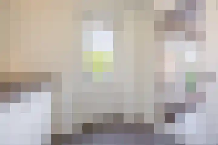 Versantvoortstraat 4 Veghel thumbnail 22