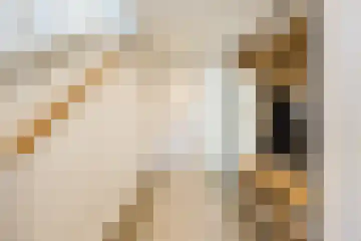 Versantvoortstraat 4 Veghel thumbnail 23