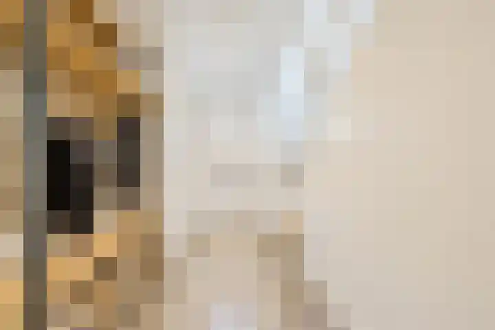 Versantvoortstraat 4 Veghel thumbnail 24